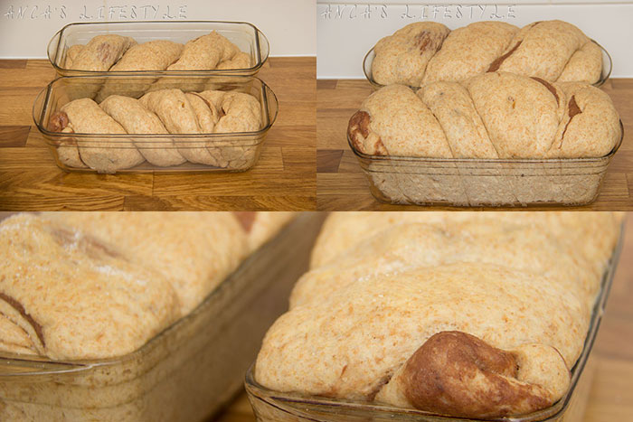 How to make Cozonac - leave the loafs to prove again