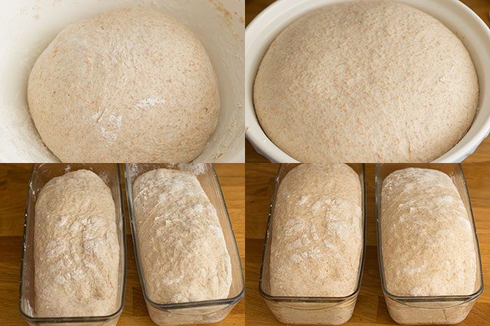 How to Bake with Fresh Yeast. Proving the dough