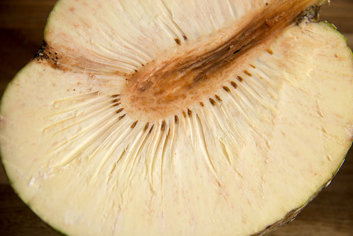 Breadfruit - inside