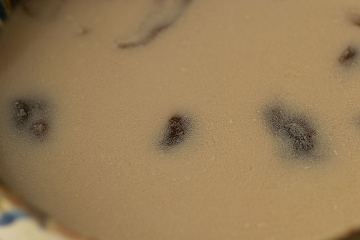 Romanian Mushrooms Soup. close up